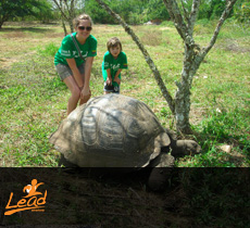 Volunteer Adventures in South America