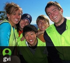 GVI