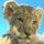 GoEco - Volunteer Abroad