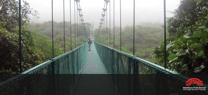 AmeriSpan Study Abroad