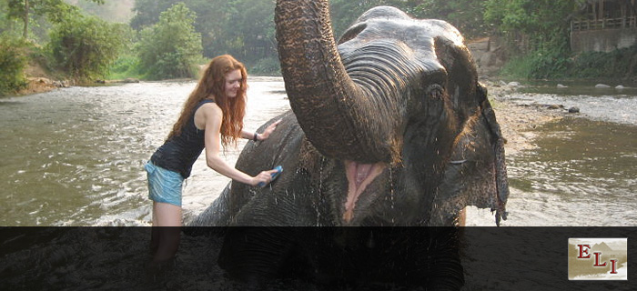 ELI-Experiential Learning International