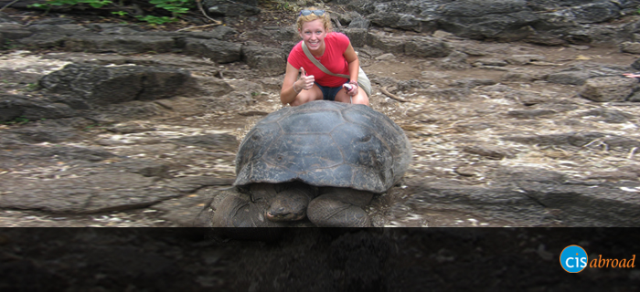 CISabroad