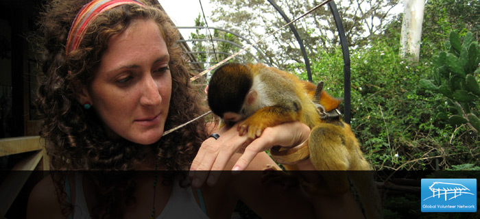 Global Volunteer Network