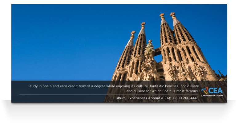 Search Results Page Advertisement Options
