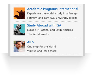 Search Results Page Advertisement Options