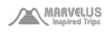 1273623730_marvelus_gray