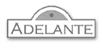 Adelante International Internships and Study Abroad