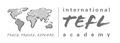 International TEFL Academy