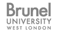 Brunel University