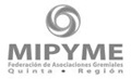 MIPYME International
