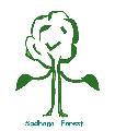 Sadhana Forest