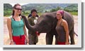 International Student Volunteers