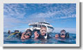 Pro Dive Cairns