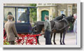 Horseride