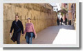 LPI (Learning Programs International)