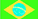 Flag11