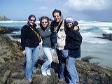 Humanities and Health Sciences in New Zealand