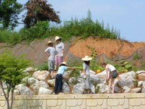 Volunteer in South korea