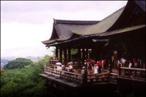 Tokyo travel and Japanese learning