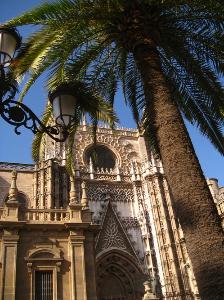 Semester Internship- Seville, Spain