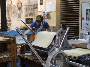 B.A. in Fine Arts: Studio Art
