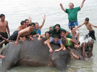 Elephant+Bathing