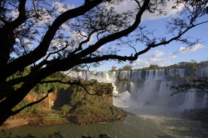 Summer Internship Program in Argentina