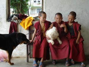 Buddhist+monks6