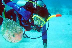 Diving2