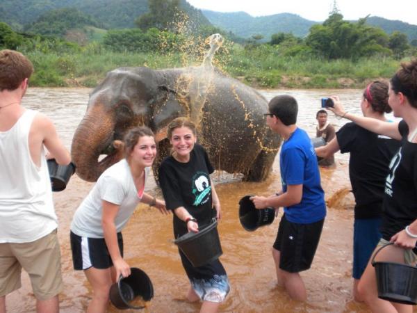 volunteer work with elephants, Pacific Discovery