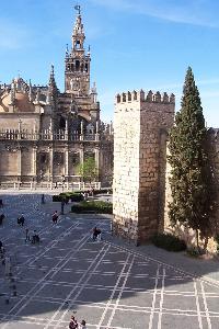 study in Sevilla, Spain