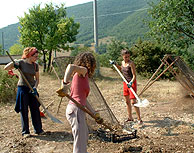 volunteer in Italy