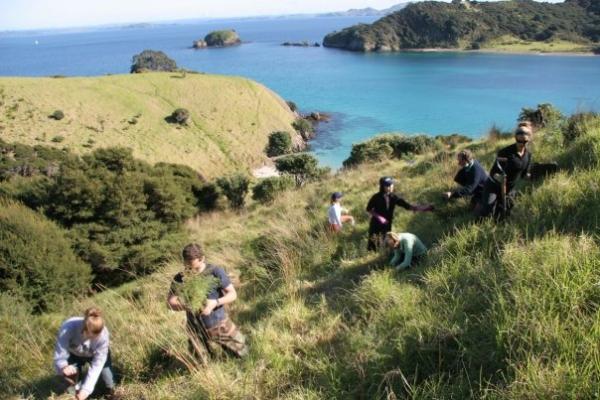 tree planting on New Zealand volunteer conservation program