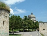 volunteer-in-Verona