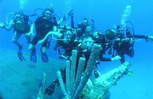 Study abroad in Bonaire, Southern Caribbean