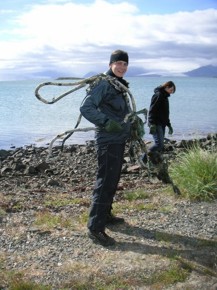 volunteer-iceland