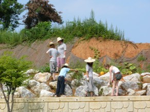 volunteer in korea