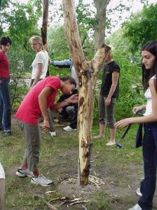 Volunteer in germany
