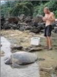 Juara Turtle Project program photo