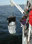 SEA Semester program photo
