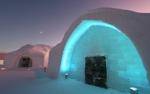 United Planet program photo