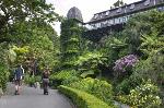 Institute for Cultural Ecology program photo