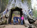 Volunteer in USA