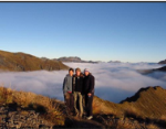 Humanities and Health Sciences in New Zealand