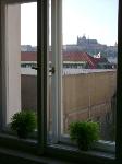 ITTP Prague - International Tefl/Tesol Program program photo