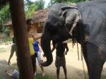 LEO Project Foundation program photo