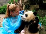 GoEco - Volunteer Abroad program photo