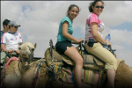 Arabic language study Jordan