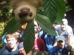 International Student Volunteers program photo