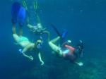Isabela Oceanographic Institute program photo